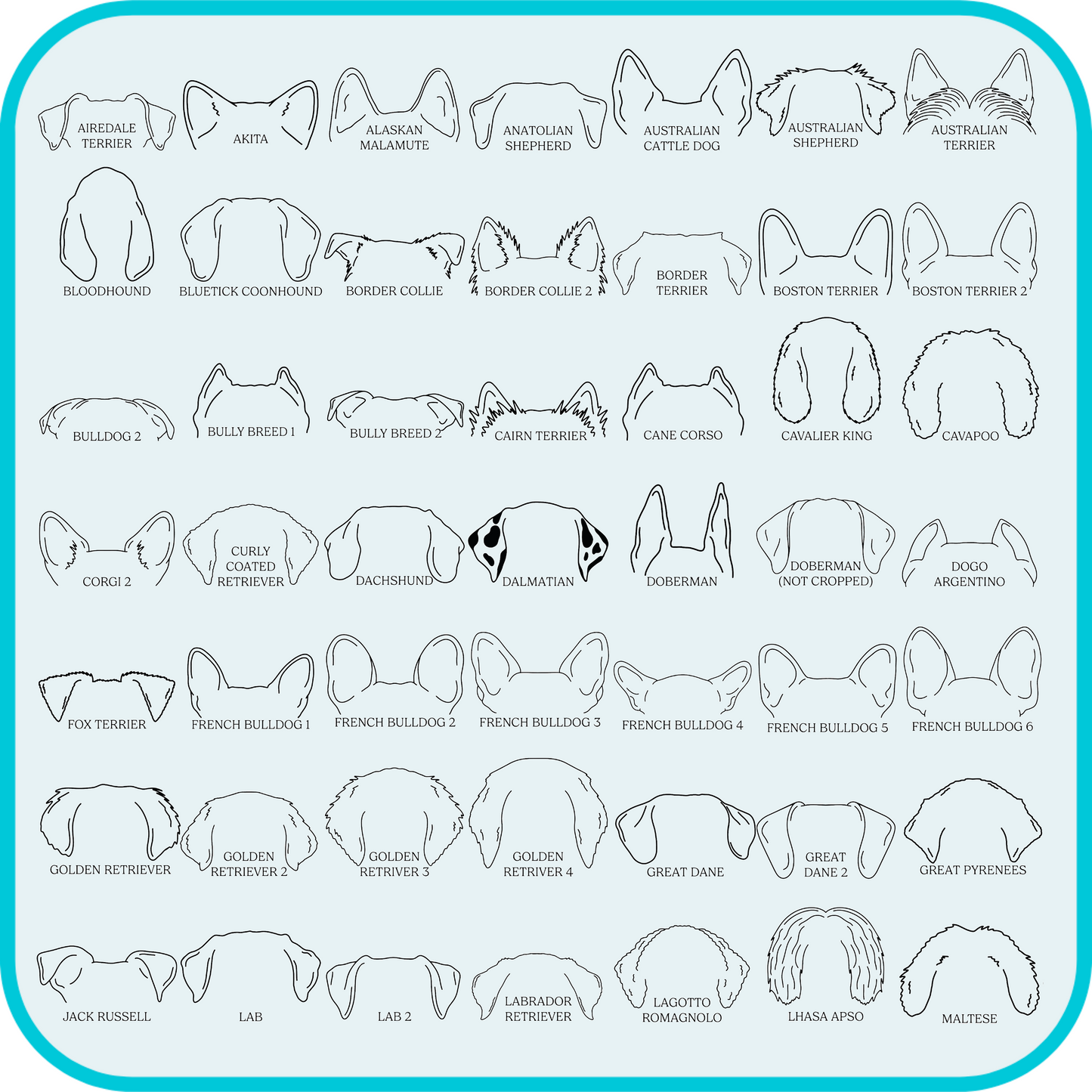 examples of dog ear shapes