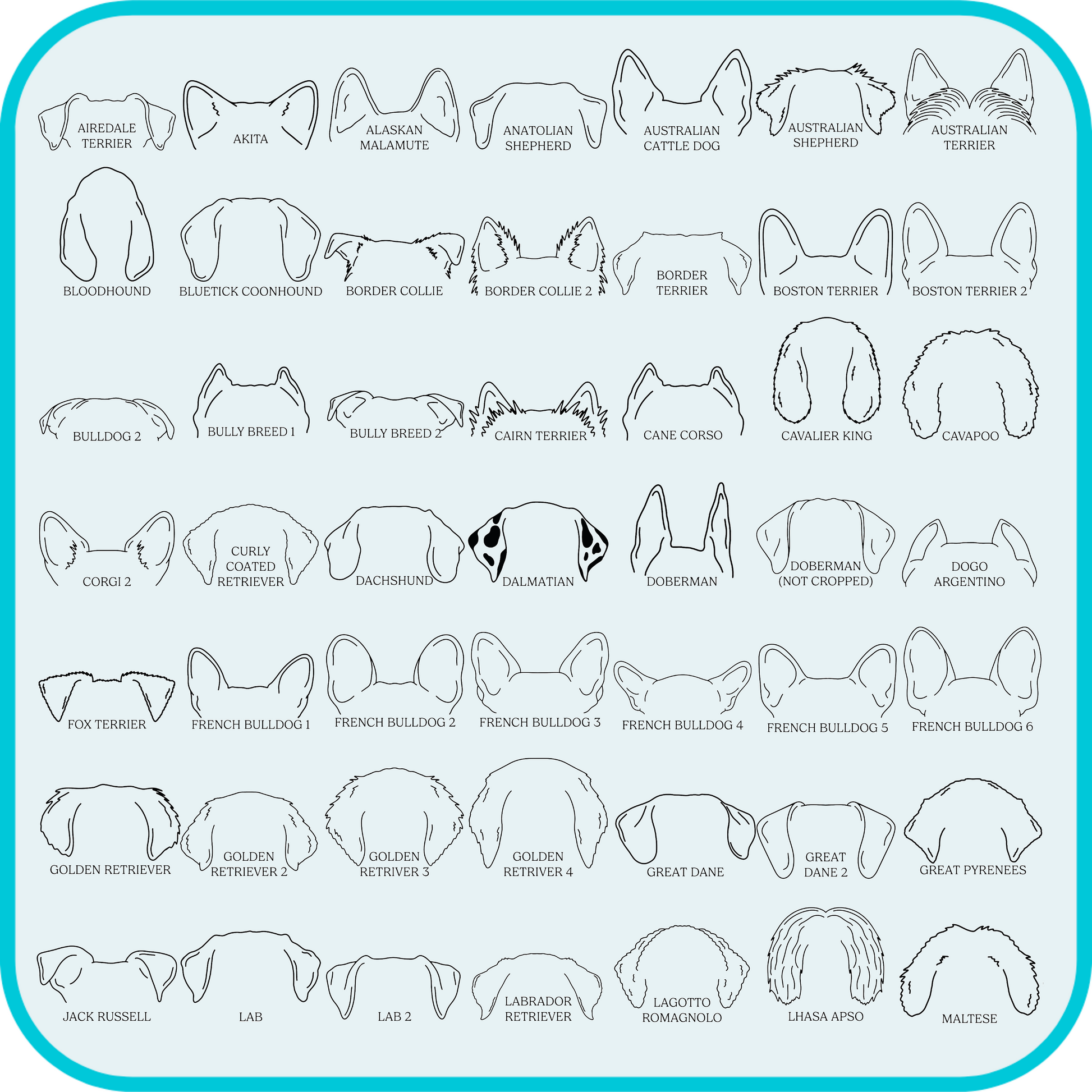 examples of dog ear shapes