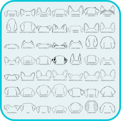 examples of dog ear shapes