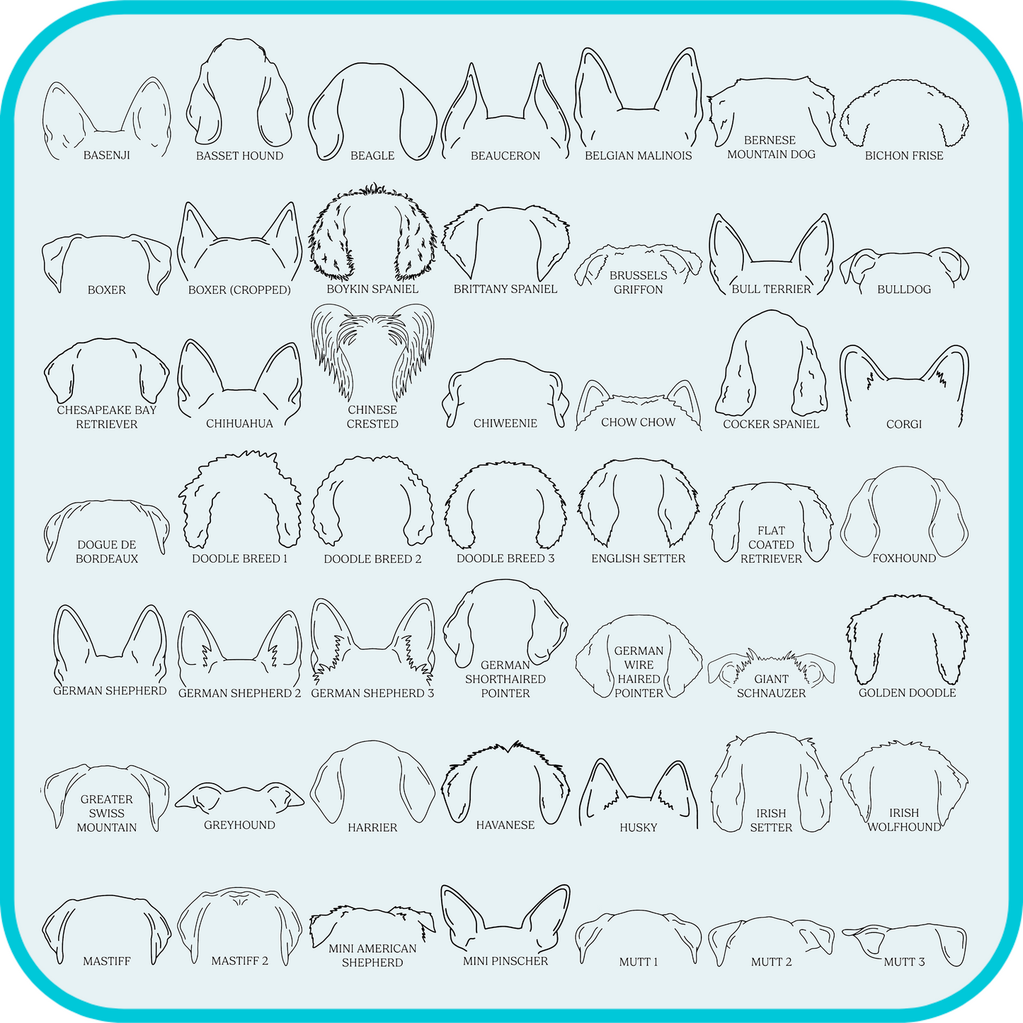 examples of dog ear shapes