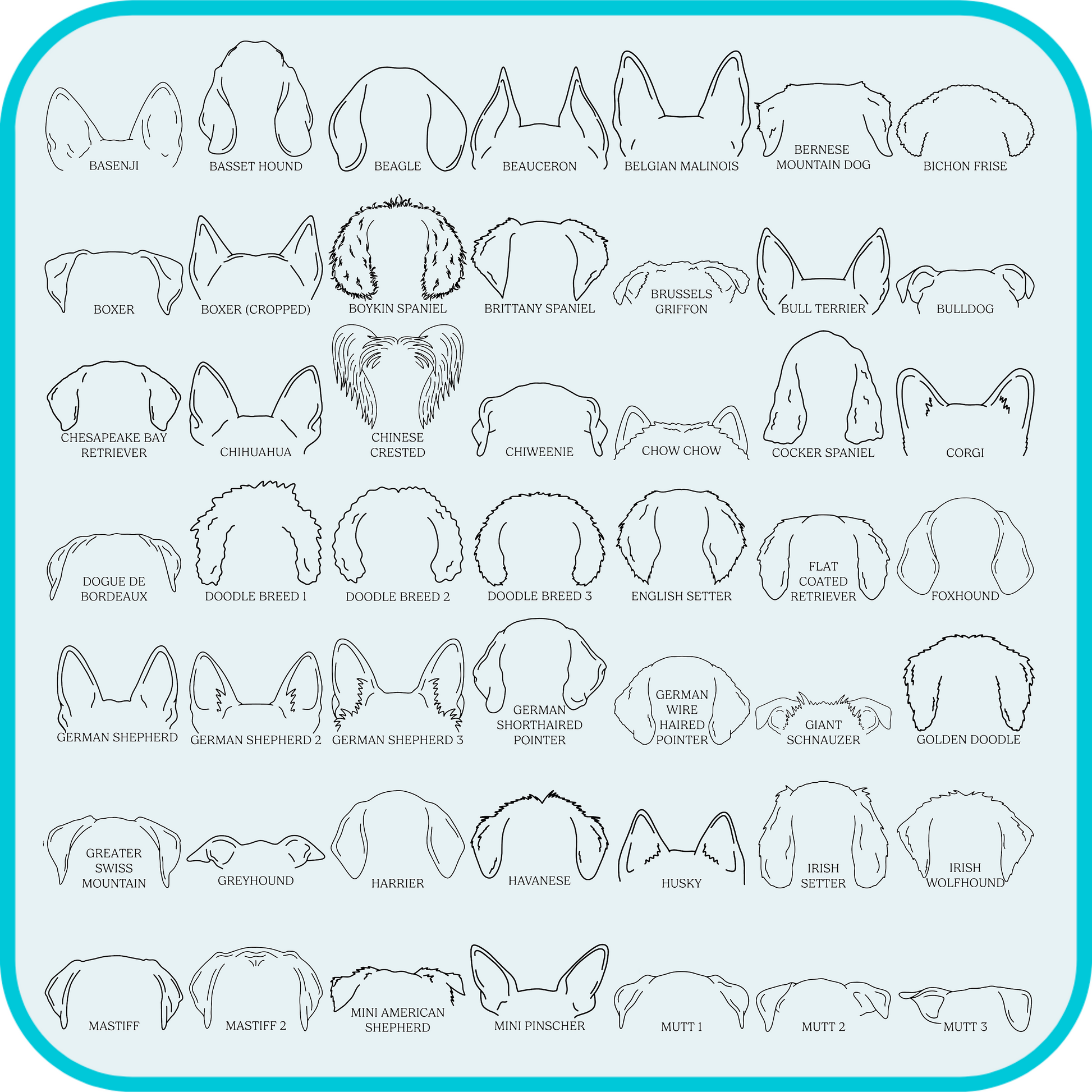 examples of dog ear shapes