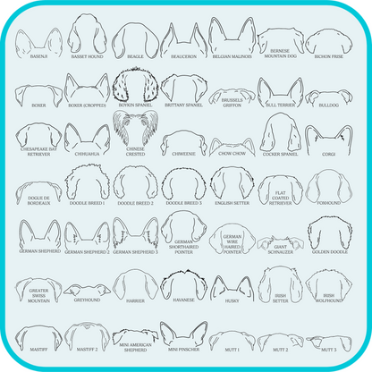 examples of dog ear shapes