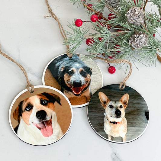 three ornaments with dog faces on them on a white background with pine and berry sprigs