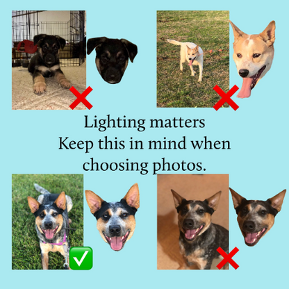 Custom Photo Sticker